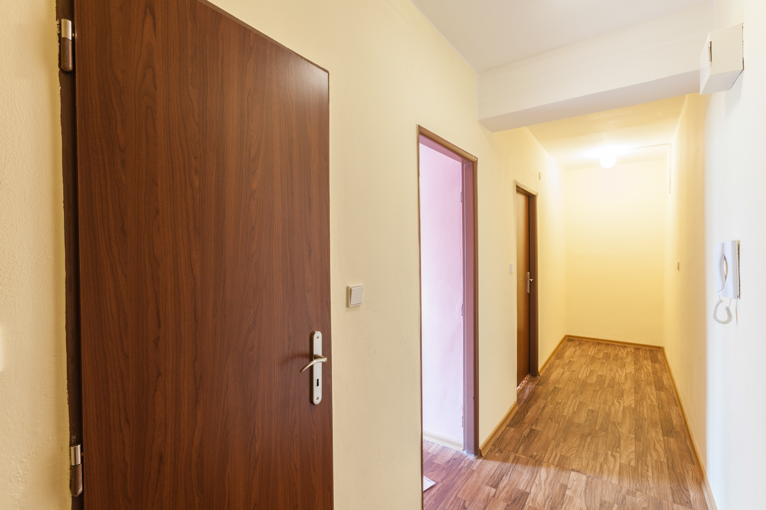Renovace